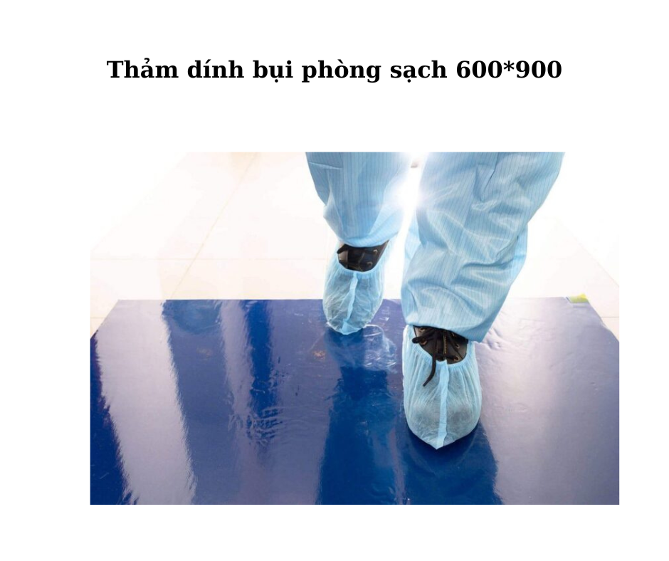 Cấu Tạo và Thiết Kế Sản Phẩm