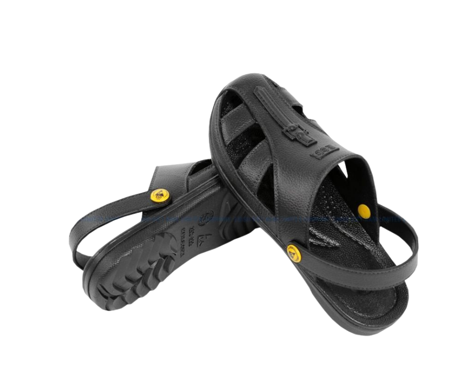 Cấu tạo và thiết kế sản phẩm